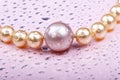 Wet pearls on pink