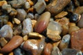 Wet Pebbles Royalty Free Stock Photo