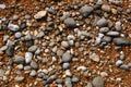 Wet pebbles Royalty Free Stock Photo