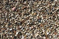 Wet pebbles beach Royalty Free Stock Photo