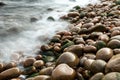 Wet pebbles on beach Royalty Free Stock Photo