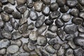 Wet pebbles lying on the gray granite. The view from the top. Royalty Free Stock Photo