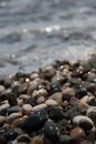 Wet pebbles on sea coast Royalty Free Stock Photo