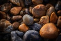 Wet pebbles sunlit on a beach Royalty Free Stock Photo