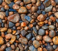 Wet Pebbles Texture Beach Stones Natural Rocks Pattern Royalty Free Stock Photo