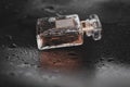 Perfume on dark background Royalty Free Stock Photo