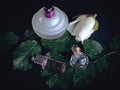 Wet perfume over black Royalty Free Stock Photo