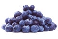 Wet pile of blueberry fruits