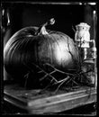 wet plate collodion vintage image of hisotrical process of photography texture Royalty Free Stock Photo