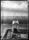 wet plate collodion vintage image of hisotrical process of photography texture Royalty Free Stock Photo