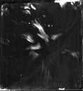 wet plate collodion vintage image of hisotrical process of photography texture