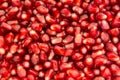 Wet pomegranate seeds background