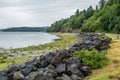 Wet Puget Sound Landscape 2