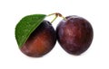 Wet purple plums with leaf isolated on white background Royalty Free Stock Photo