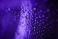 Purple wet surface with colorful glistering water drops