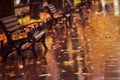 Wet after rain, the boulevard strewn with yellow leaves and benches. Royalty Free Stock Photo