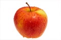 Wet red apple Royalty Free Stock Photo