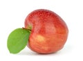 Wet red apple with leaf Royalty Free Stock Photo