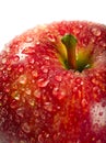 Wet red apple macro Royalty Free Stock Photo