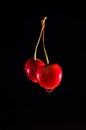 Wet red cherries on the black isolated background Royalty Free Stock Photo