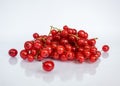 Wet red currant berries on a white background with reflection Royalty Free Stock Photo
