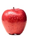 Wet red delicious apple Royalty Free Stock Photo