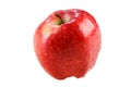 Wet red delicious apple Royalty Free Stock Photo