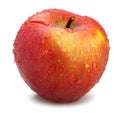 Wet red delicious apple Royalty Free Stock Photo