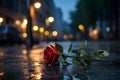 A wet red rose lies in the rain on the asphalt outside in the dusk