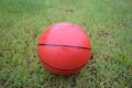 Toy basketball ball lying on the grass. Royalty Free Stock Photo