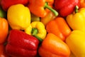 Wet ripe colorful bell peppers as background