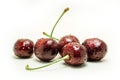 Wet ripe fresh cherries isolated on white background. Royalty Free Stock Photo