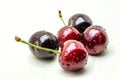 Wet ripe fresh cherries isolated on white background. Royalty Free Stock Photo