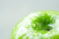 Wet Ripe Green Organic Apple with Water Drops on Light Grey Background. Macro Visible Texture. Creative Minimalist Image Banner Royalty Free Stock Photo