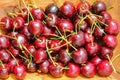 Wet ripe Wild Cherries with stems on a wooden tray Royalty Free Stock Photo