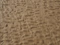 Rippled sand on a beach at low tide with the imprints of bird tracks forming a pattern on the surface Royalty Free Stock Photo