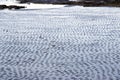 Wet ripples of sand Royalty Free Stock Photo