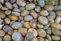 Wet river rocks close up Royalty Free Stock Photo