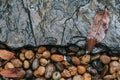 Wet River Stone Background. Wild river stream rocks flowing.