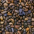 Wet river stones background Royalty Free Stock Photo