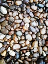 Wet river stones background Royalty Free Stock Photo