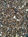 Wet river stones background Royalty Free Stock Photo