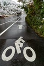 Wet road bicycle lane in the garden of the gods colorado springs Royalty Free Stock Photo