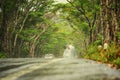 Wet road in countryside with nature on green mountain after rainy Royalty Free Stock Photo