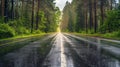 A wet road with a green forest in the background, AI Royalty Free Stock Photo