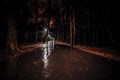 wet road with lanterns in the park after rain at night. gloomy dark landscape of a walkway in a city park. autumn deserted forest Royalty Free Stock Photo