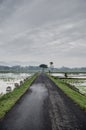 Wet road lead to the cloudy sky