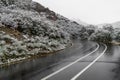 Wet road leading through the garden of the gods colorado springs Royalty Free Stock Photo