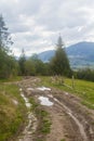 Wet road after rain in mountains