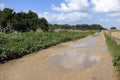 Wet road scenic landscape. Royalty Free Stock Photo